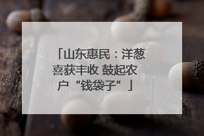 山东惠民：洋葱喜获丰收 鼓起农户“钱袋子”
