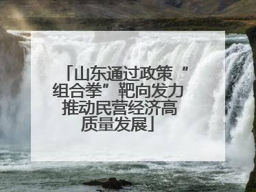 山东通过政策“组合拳”靶向发力 推动民营经济高质量发展