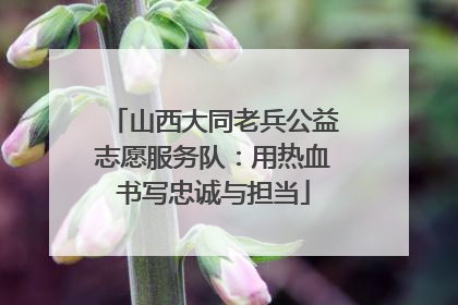 山西大同老兵公益志愿服务队：用热血书写忠诚与担当