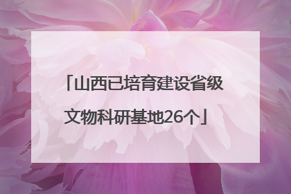 山西已培育建设省级文物科研基地26个
