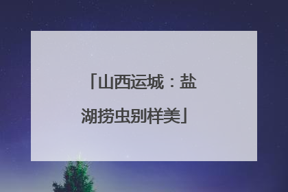 山西运城：盐湖捞虫别样美