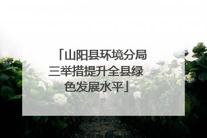 山阳县环境分局三举措提升全县绿色发展水平