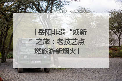 岳阳非遗“焕新”之旅：老技艺点燃旅游新烟火