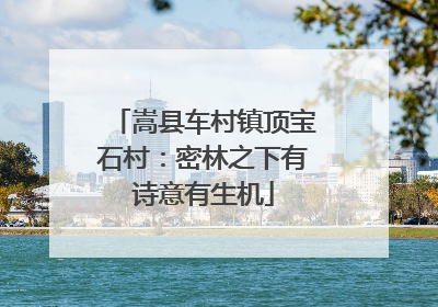 嵩县车村镇顶宝石村：密林之下有诗意有生机