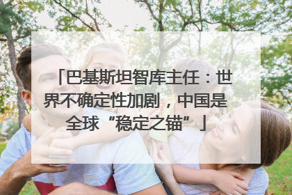 巴基斯坦智库主任：世界不确定性加剧，中国是全球“稳定之锚”
