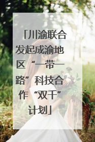 川渝联合发起成渝地区“一带一路”科技合作“双千”计划