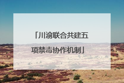 川渝联合共建五项禁毒协作机制