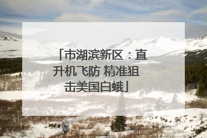 市湖滨新区：直升机飞防 精准狙击美国白蛾
