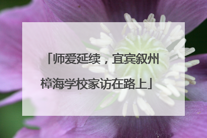 师爱延续，宜宾叙州樟海学校家访在路上