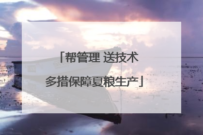 帮管理 送技术 多措保障夏粮生产