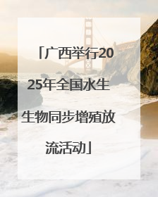广西举行2025年全国水生生物同步增殖放流活动