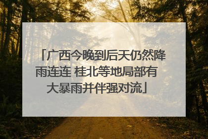广西今晚到后天仍然降雨连连 桂北等地局部有大暴雨并伴强对流