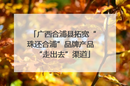 广西合浦县拓宽“珠还合浦”品牌产品“走出去”渠道