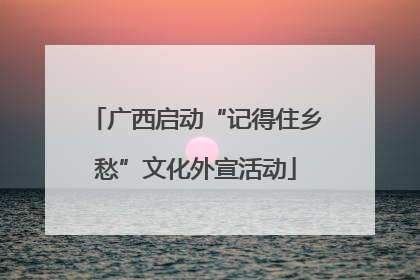 广西启动“记得住乡愁”文化外宣活动