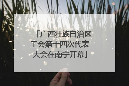 广西壮族自治区工会第十四次代表大会在南宁开幕