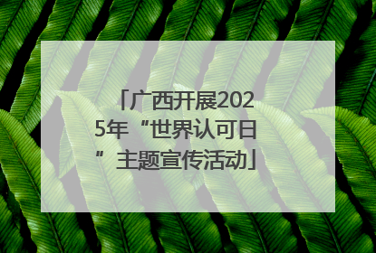 广西开展2025年“世界认可日”主题宣传活动