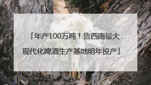 年产100万吨！鲁西南最大现代化啤酒生产基地明年投产