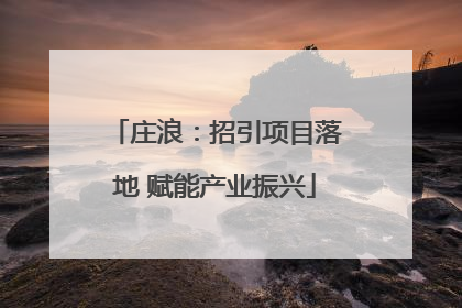 庄浪：招引项目落地 赋能产业振兴