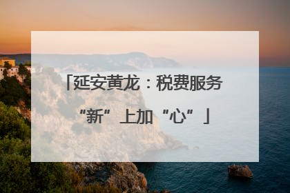 延安黄龙：税费服务“新”上加“心”
