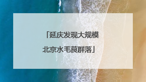 延庆发现大规模北京水毛茛群落