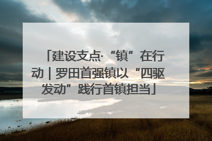 建设支点·“镇”在行动｜罗田首强镇以“四驱发动”践行首镇担当