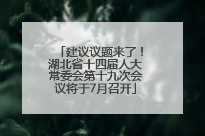 建议议题来了！湖北省十四届人大常委会第十九次会议将于7月召开