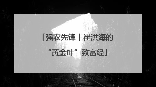 强农先锋丨崔洪海的“黄金叶”致富经