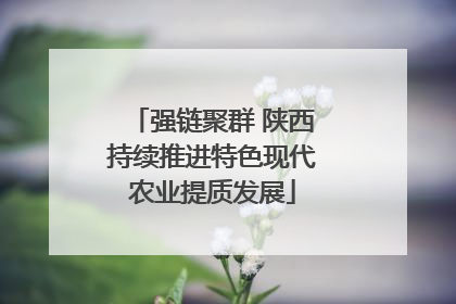 强链聚群 陕西持续推进特色现代农业提质发展