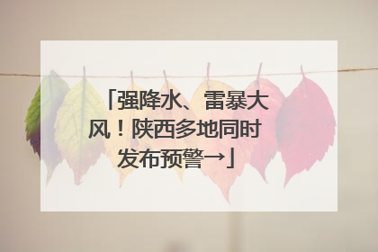 强降水、雷暴大风！陕西多地同时发布预警→