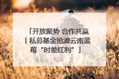 开放聚势 合作共赢丨私募基金抢滩云南蓝莓“时差红利”
