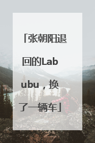 张朝阳退回的Labubu，换了一辆车