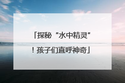 探秘“水中精灵”！孩子们直呼神奇