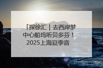 探徐汇｜去西岸梦中心船坞听贝多芬！2025上海夏季音乐节公布节目阵容