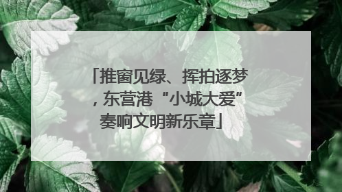 推窗见绿、挥拍逐梦，东营港“小城大爱”奏响文明新乐章