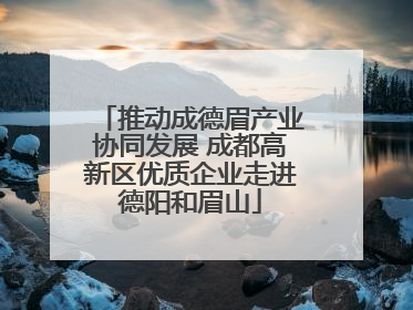 推动成德眉产业协同发展 成都高新区优质企业走进德阳和眉山
