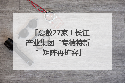 总数27家！长江产业集团“专精特新”矩阵再扩容