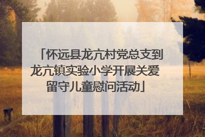 怀远县龙亢村党总支到龙亢镇实验小学开展关爱留守儿童慰问活动