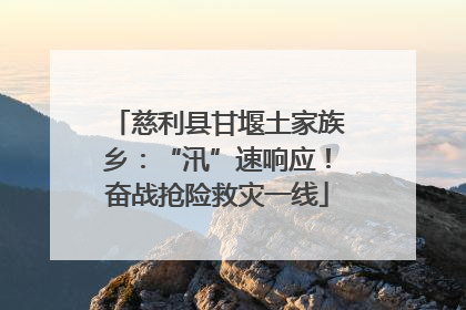 慈利县甘堰土家族乡：“汛”速响应！奋战抢险救灾一线