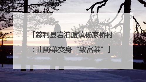 慈利县岩泊渡镇杨家桥村：山野菜变身“致富菜”