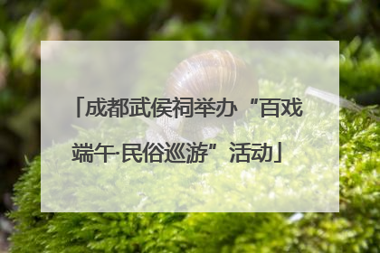 成都武侯祠举办“百戏端午·民俗巡游”活动