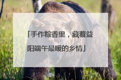 手作粽香里，藏着益阳端午最暖的乡情