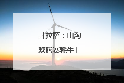 拉萨：山沟欢腾赛牦牛