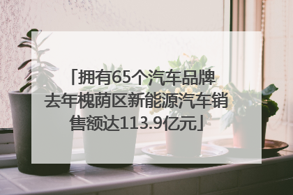 拥有65个汽车品牌 去年槐荫区新能源汽车销售额达113.9亿元