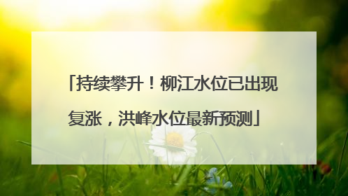 持续攀升！柳江水位已出现复涨，洪峰水位最新预测