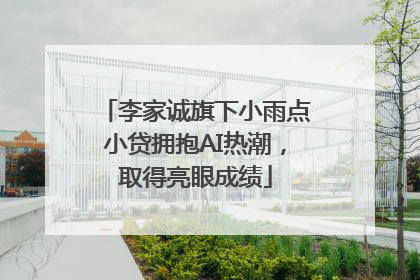 李家诚旗下小雨点小贷拥抱AI热潮，取得亮眼成绩