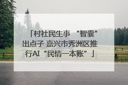 村社民生事 “智囊”出点子 嘉兴市秀洲区推行AI“民情一本账”