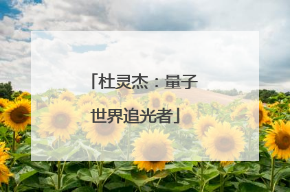 杜灵杰：量子世界追光者