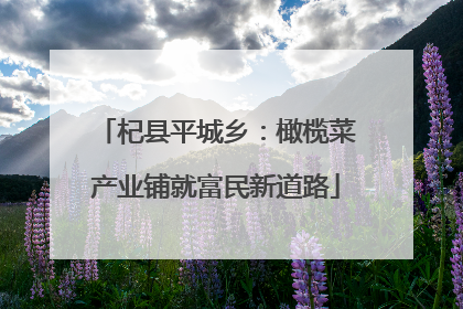杞县平城乡：橄榄菜产业铺就富民新道路