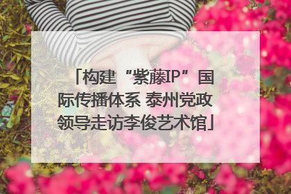 构建“紫藤IP”国际传播体系 泰州党政领导走访李俊艺术馆
