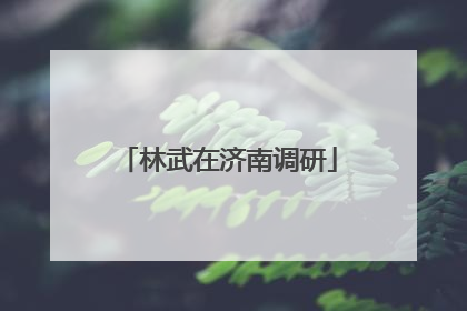 林武在济南调研